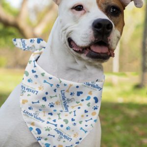 Little Valley Dog Bandana